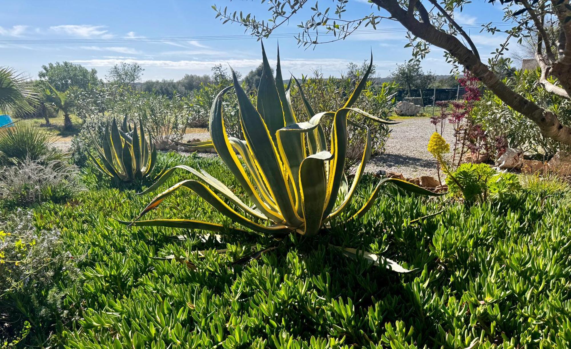 Finca Es Velar Сантаньї Екстер'єр фото